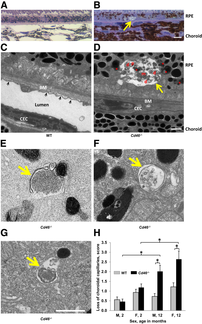 Figure 7