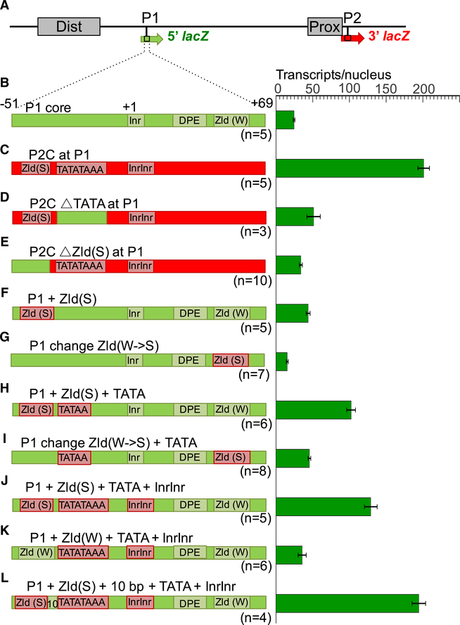 Figure 4.