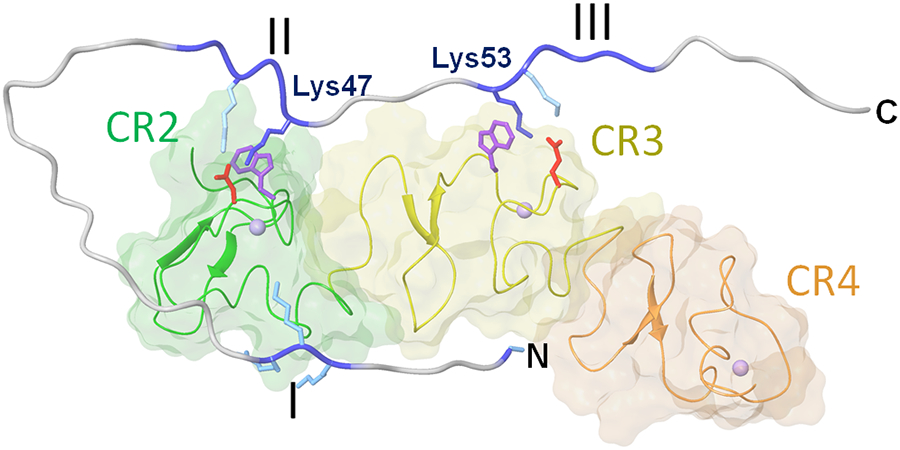 Fig. 6