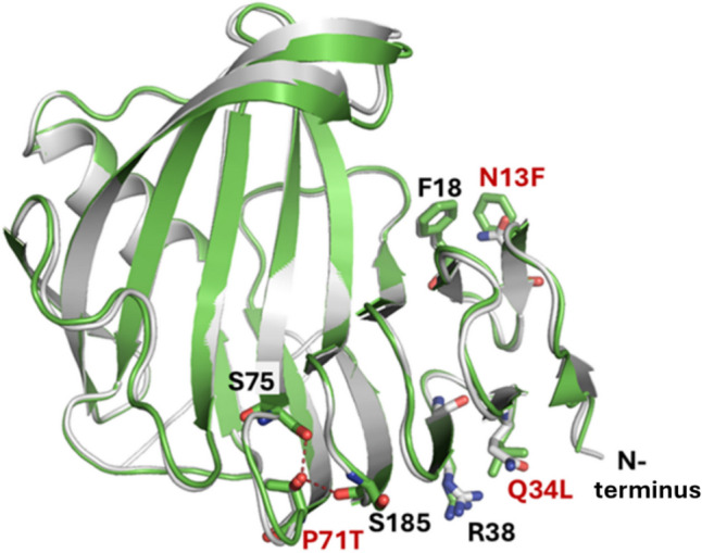 Fig. 2