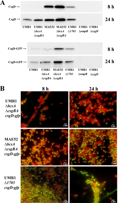 FIG. 7.