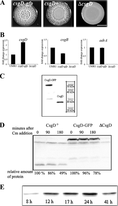 FIG. 2.