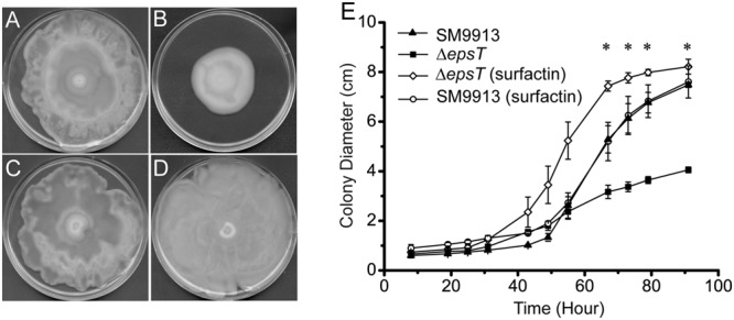 FIGURE 6