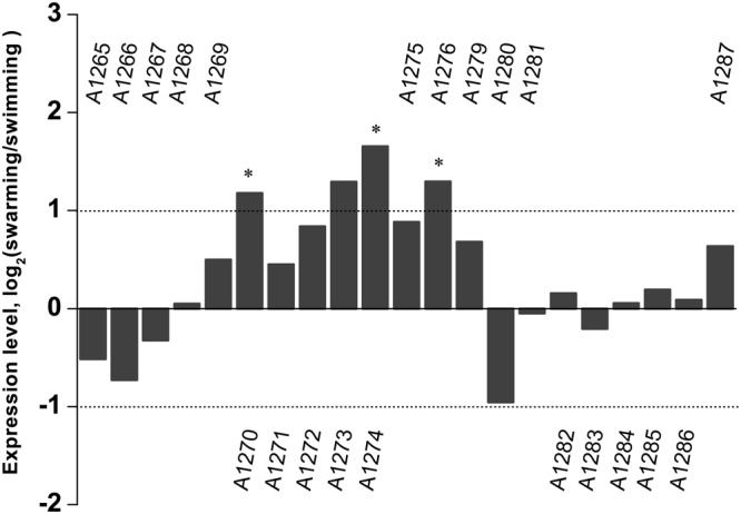 FIGURE 3