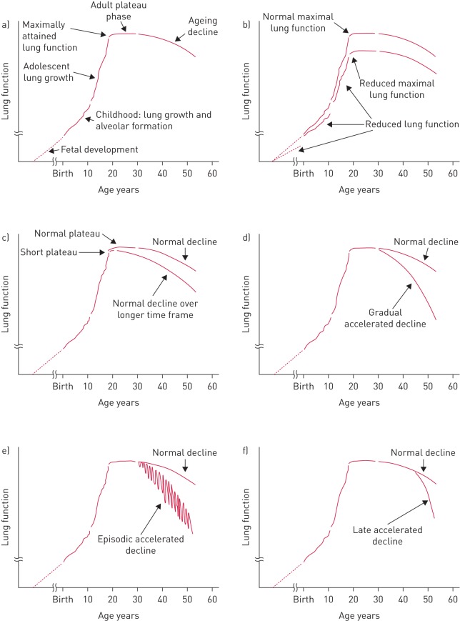 FIGURE 2