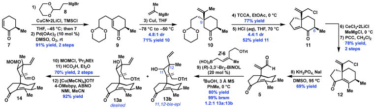 Scheme 2