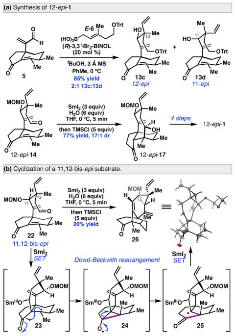 Scheme 5