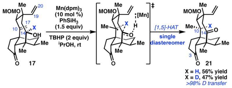 Scheme 4