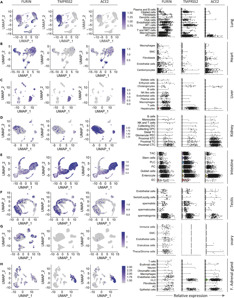 Figure 4