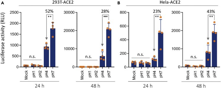 Figure 6