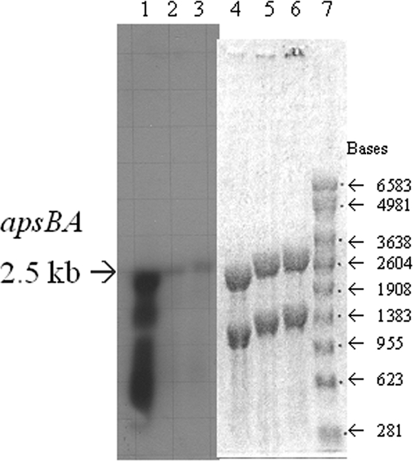 FIG. 5.