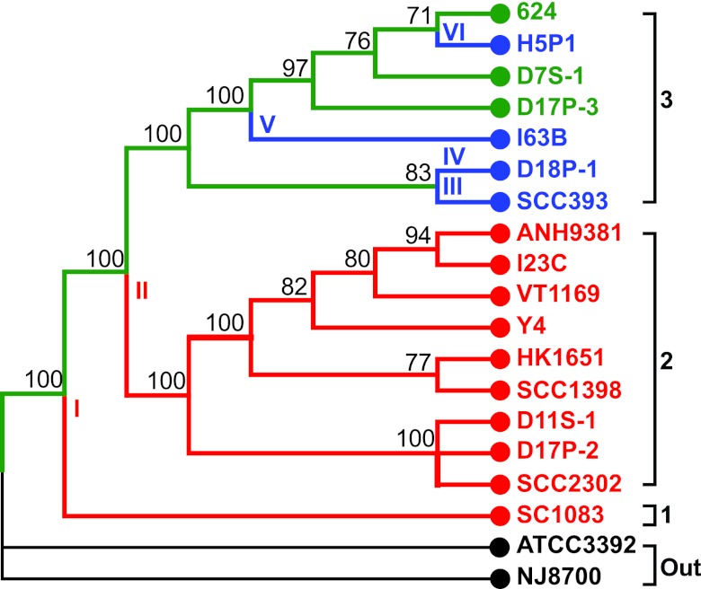 FIG 1 