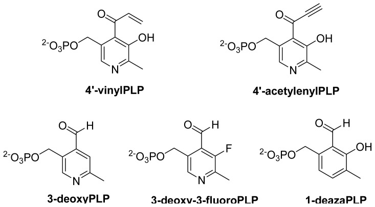 Scheme 5.