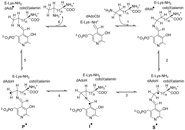 Scheme 3.