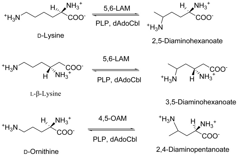 Scheme 2.