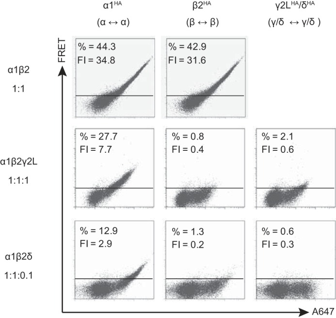 FIGURE 4.