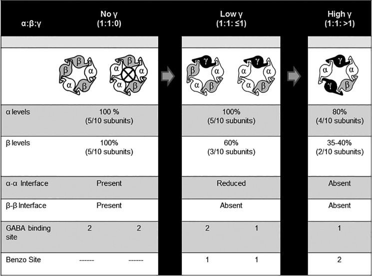 FIGURE 11.