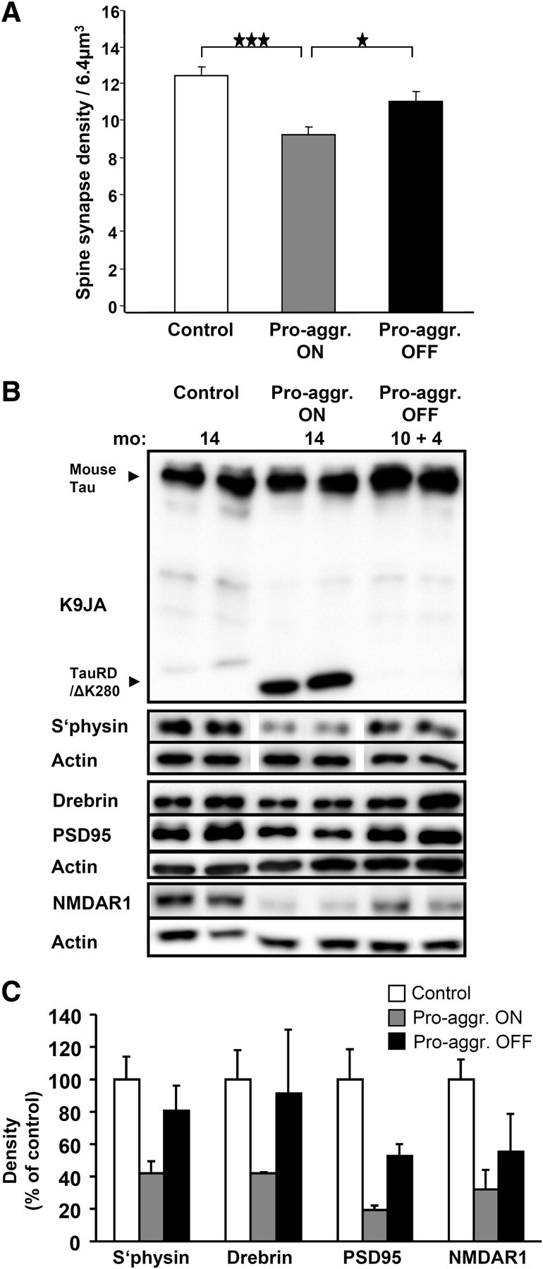 Figure 5.