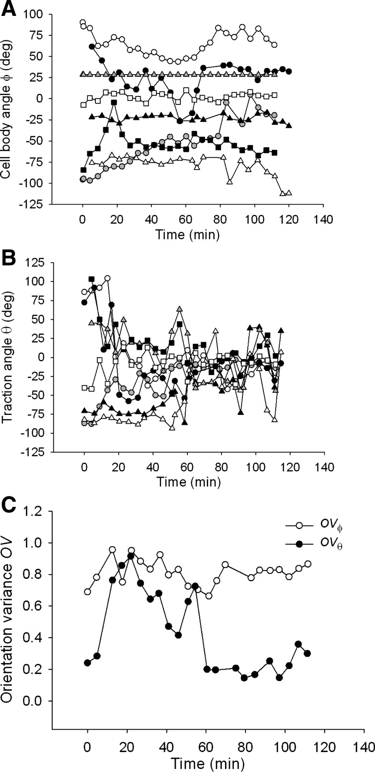 Fig. 8.