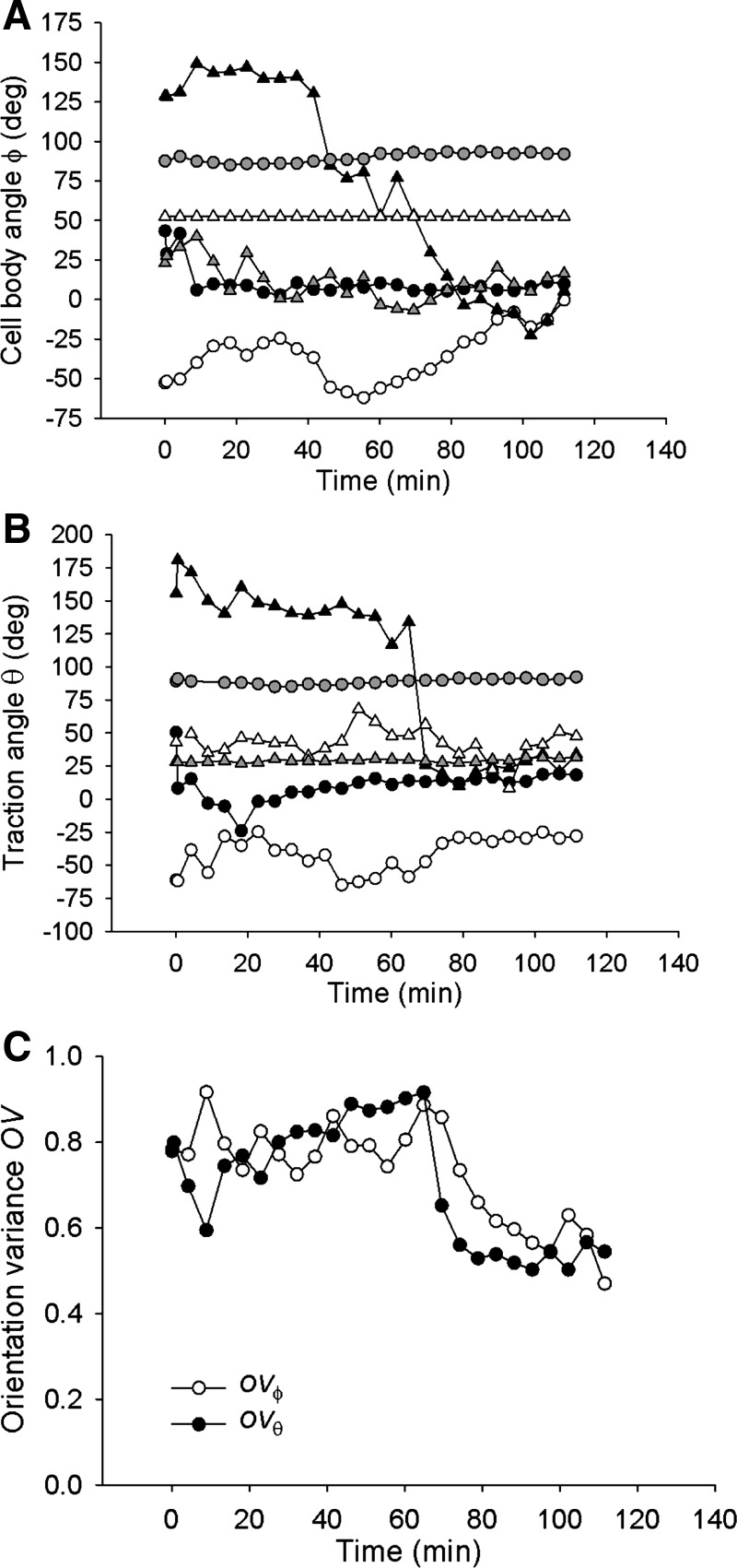 Fig. 6.