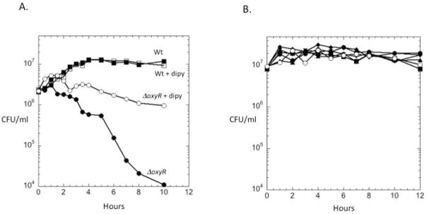 Fig. 10