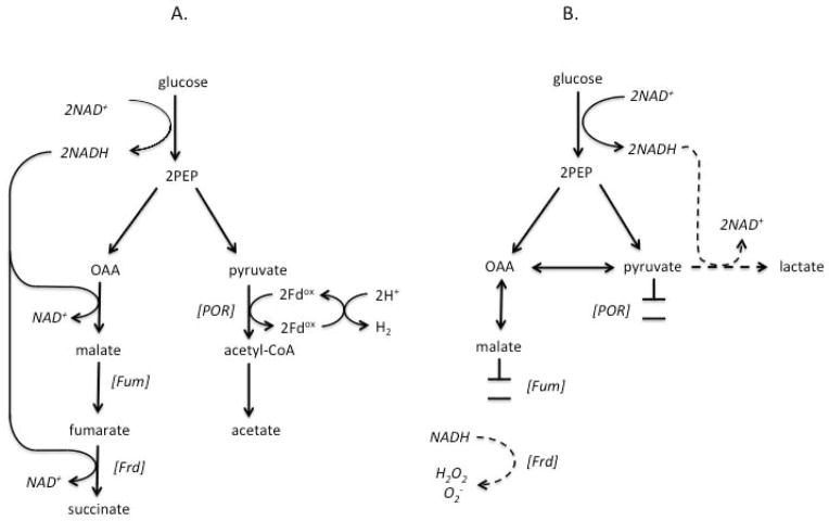 Fig. 11