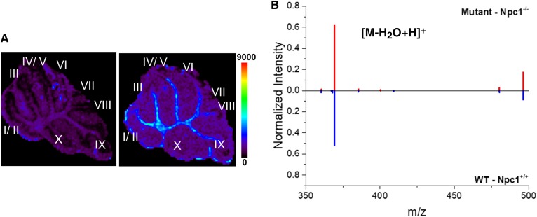 Fig. 6.