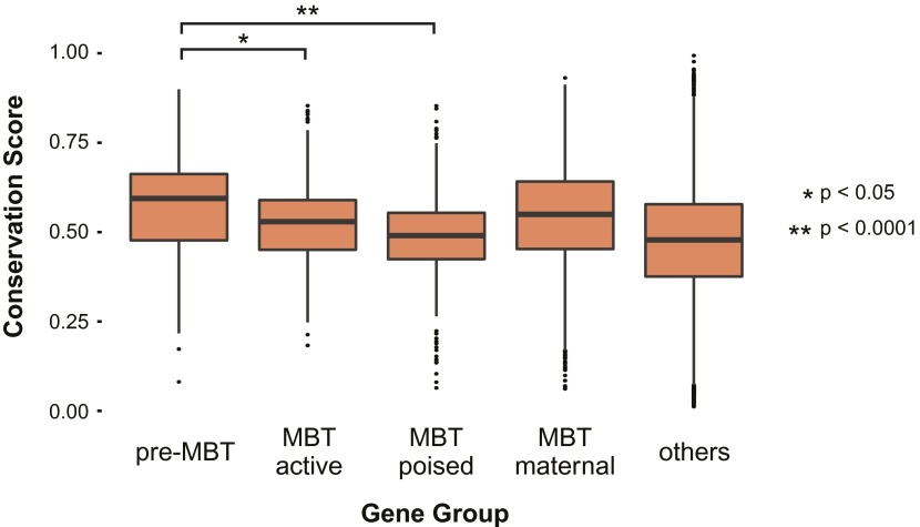 Figure 1—figure supplement 4.