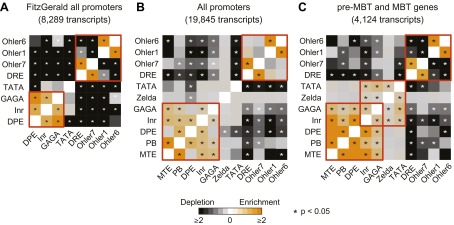 Figure 5—figure supplement 2.