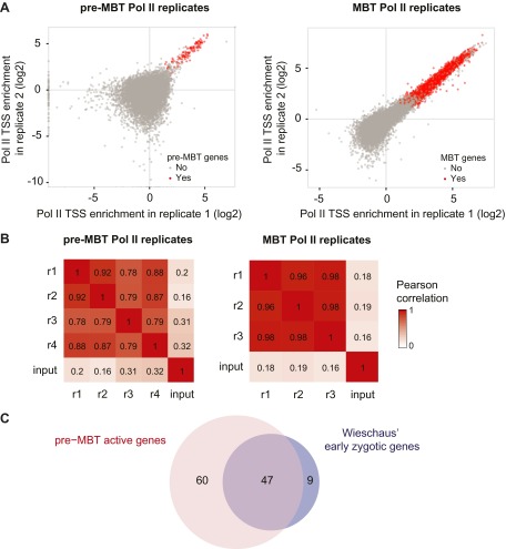 Figure 1—figure supplement 2.