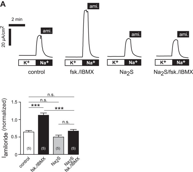 Fig. 9.