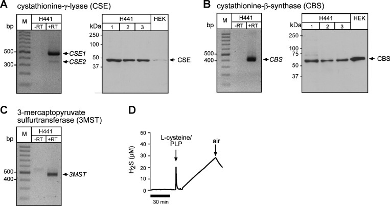 Fig. 10.