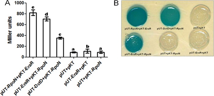 FIG 9