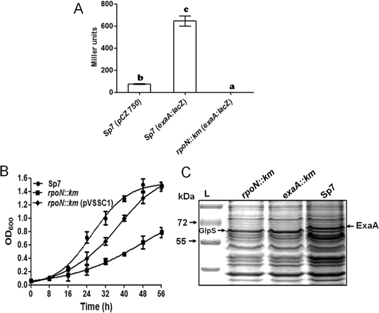 FIG 6