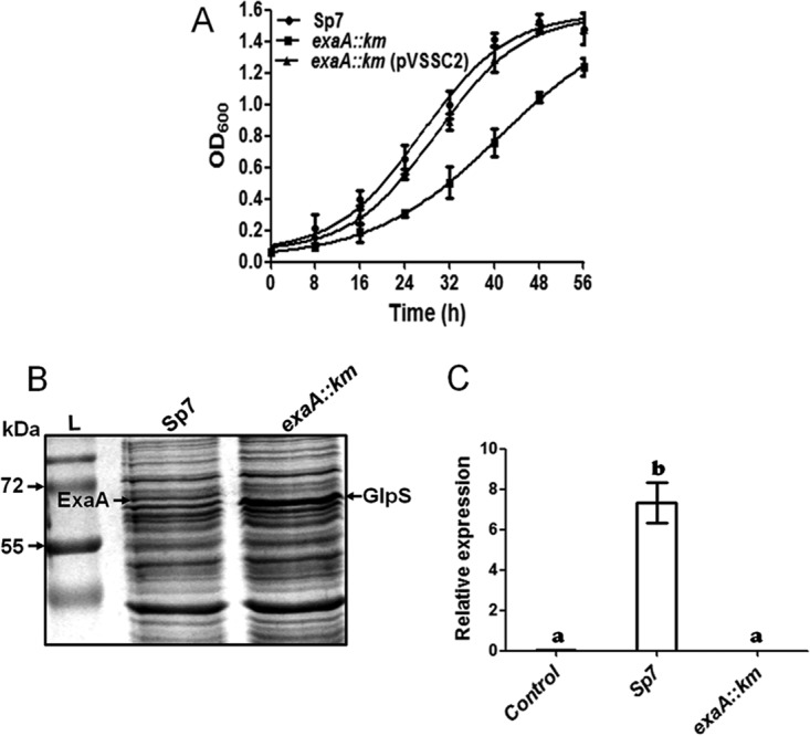 FIG 3