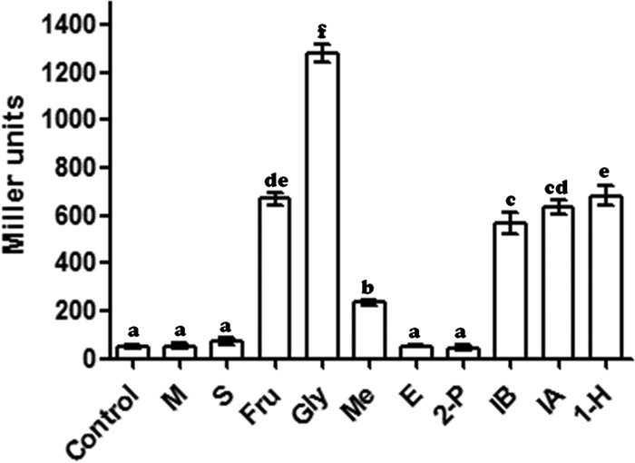 FIG 2