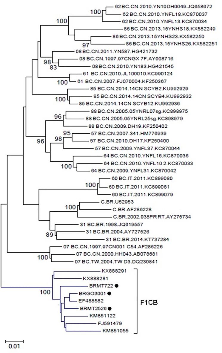 FIGURE 3