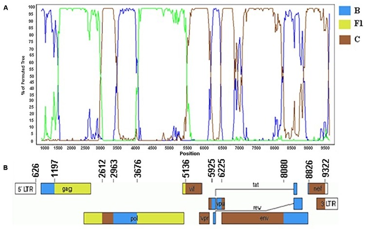 FIGURE 5