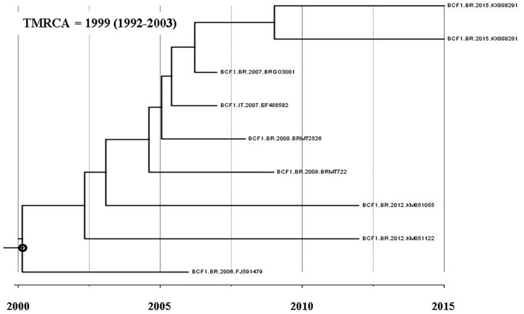 FIGURE 4