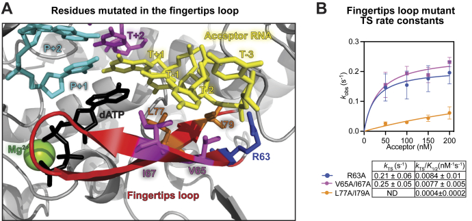 Figure 5