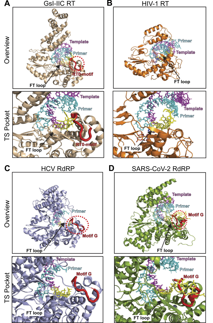 Figure 9