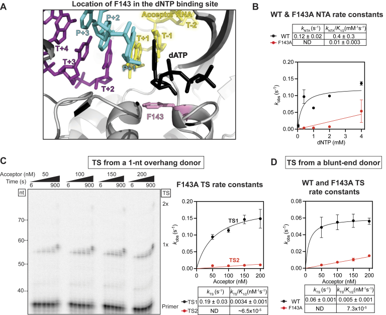 Figure 6