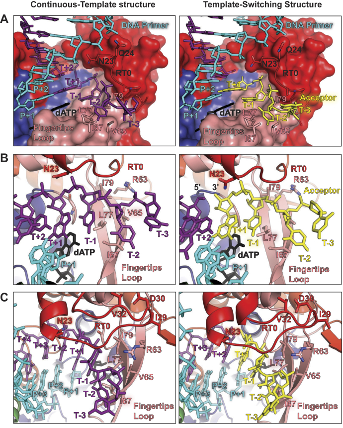 Figure 2