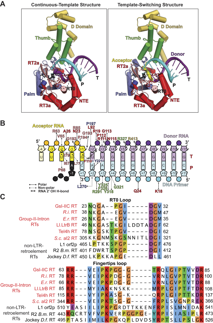 Figure 1