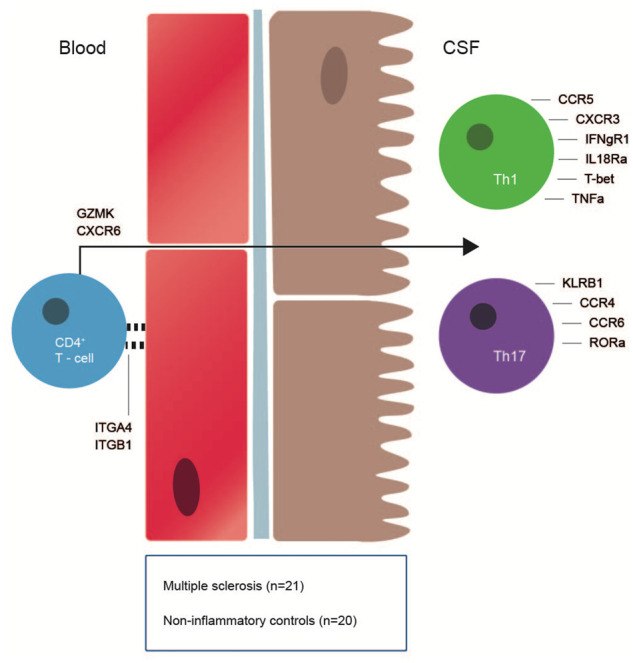 Graphical Abstract