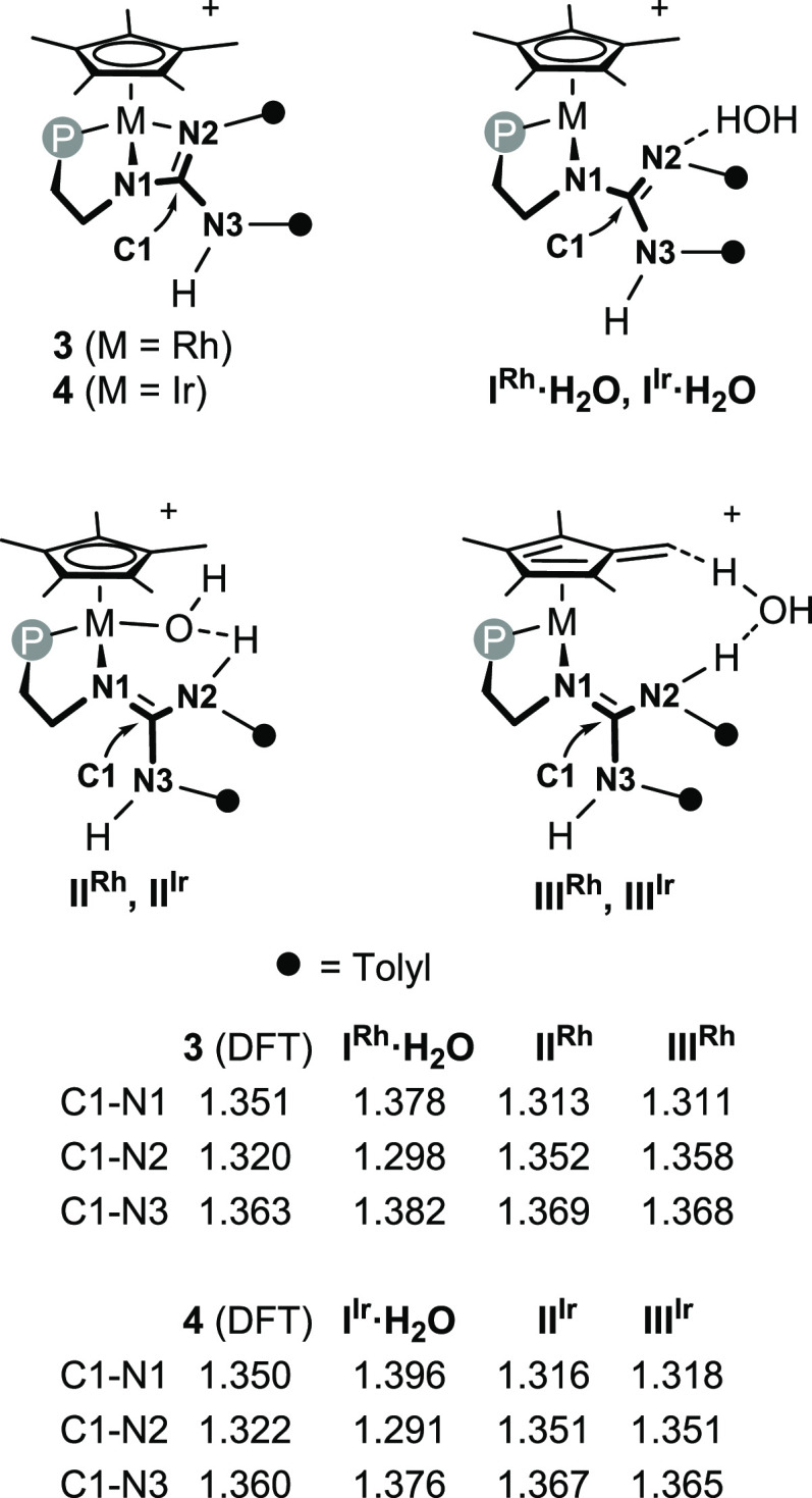 Scheme 2