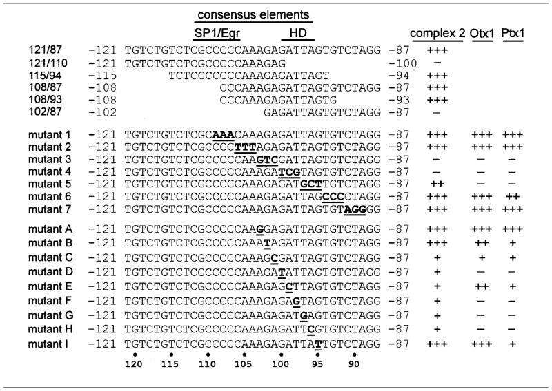 graphic file with name nihms230708f11.jpg