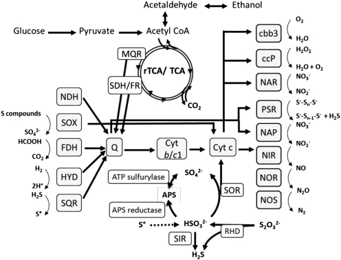 Fig. 3.