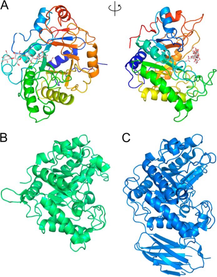 FIGURE 4.