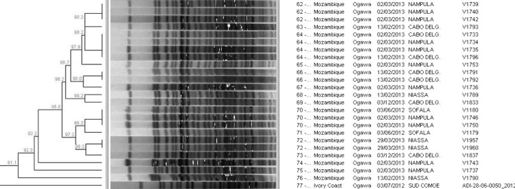 Fig 2